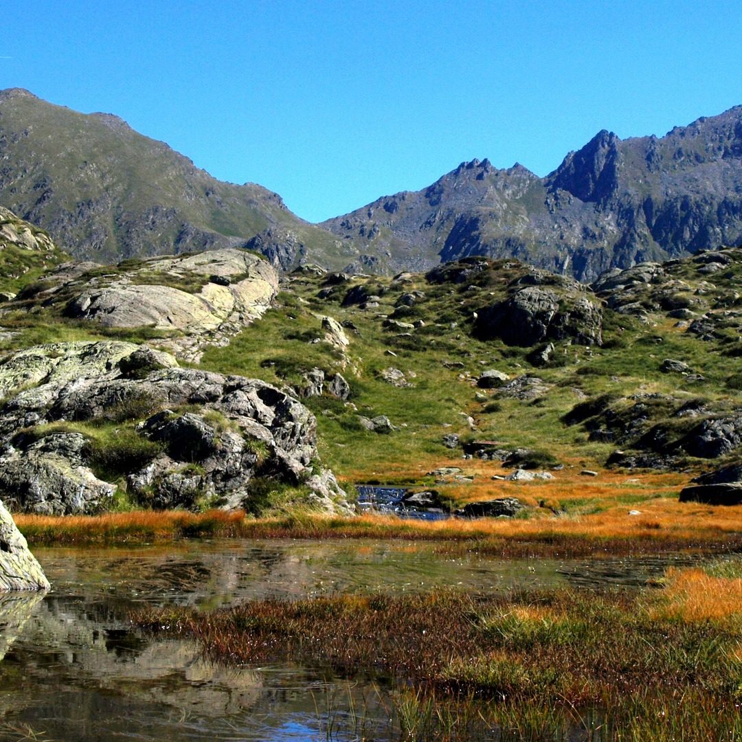 Photo de René NOHALES